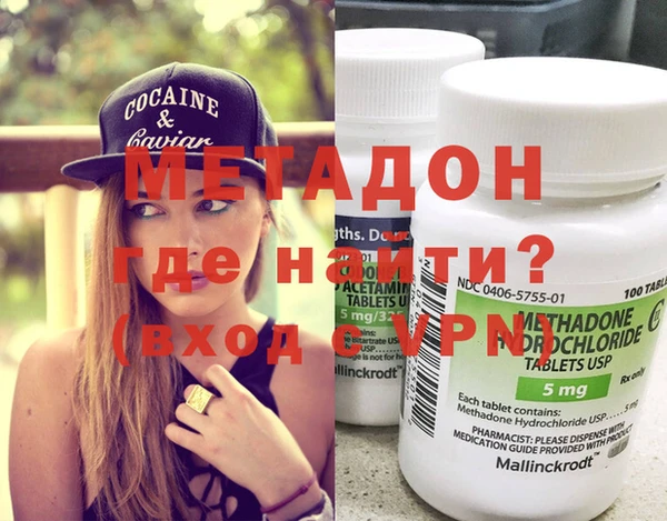 прущие грибы Вязьма