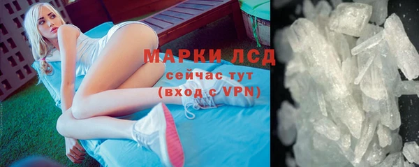 прущие грибы Вязьма