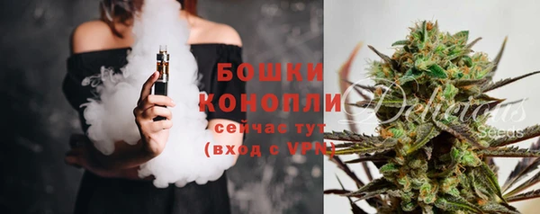 прущие грибы Вязьма