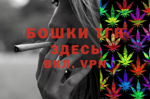 прущие грибы Вязьма