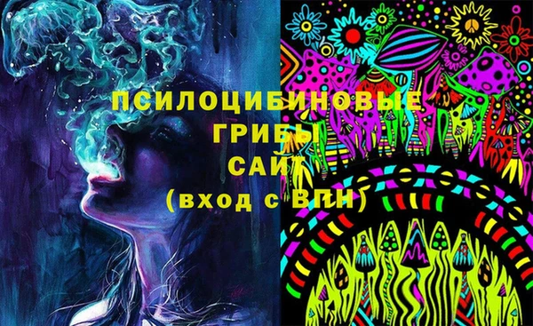 прущие грибы Вязьма