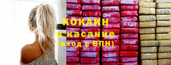 прущие грибы Вязьма