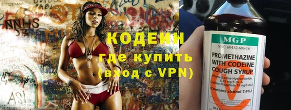прущие грибы Вязьма