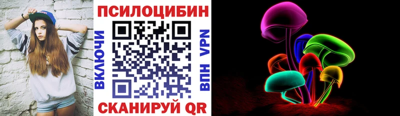 где можно купить наркотик  мега ТОР  Псилоцибиновые грибы Magic Shrooms  Ивангород 